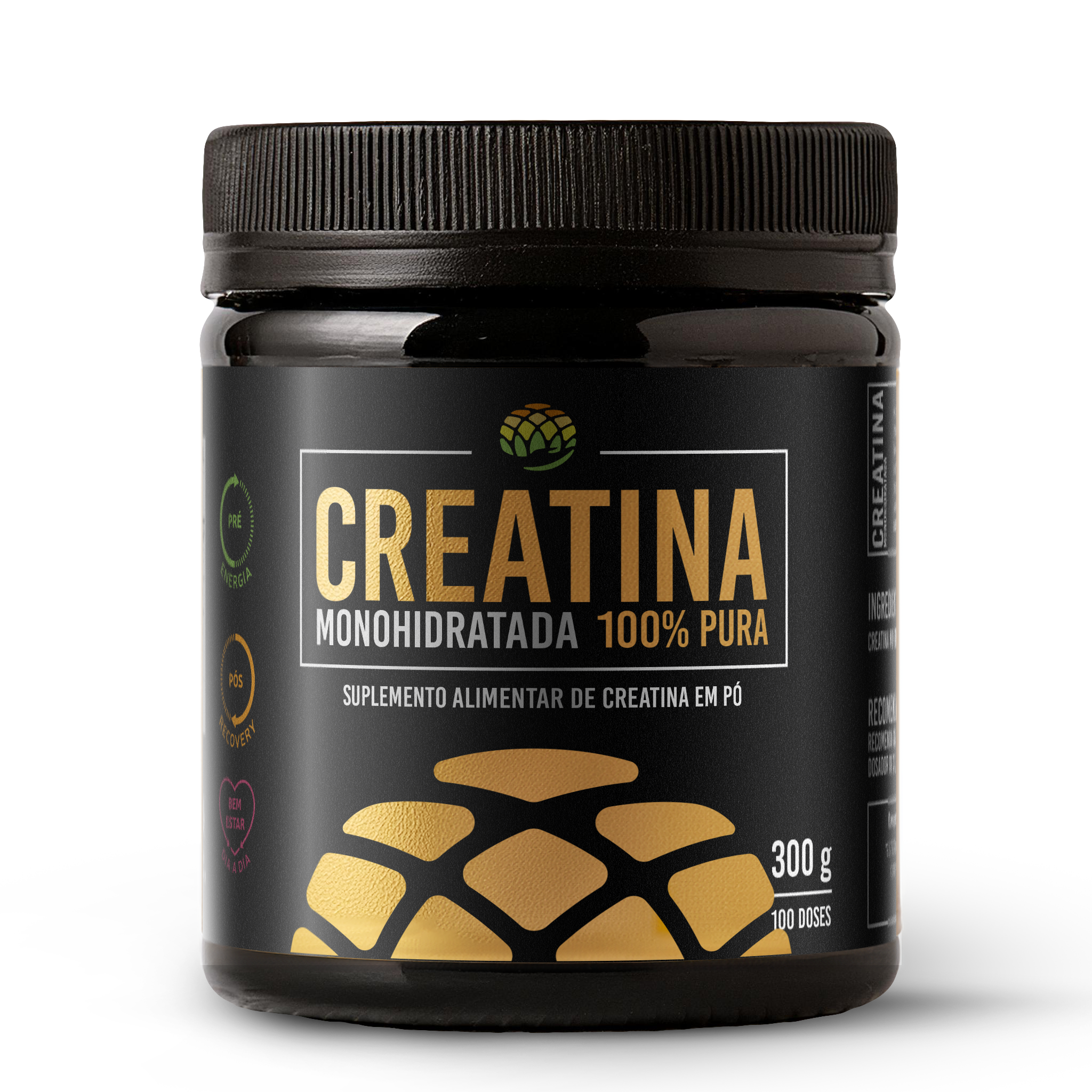 MOCKUP_CREATINA